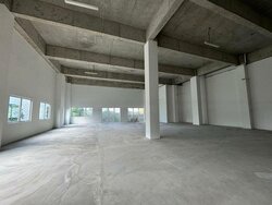 Pandan Loop (D5), Factory #456255801